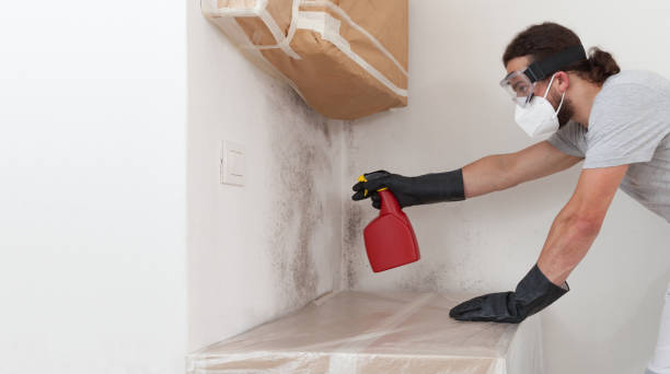 Professional Attic Mold Remediation technician working in Temperanceville, VA
