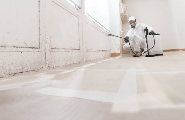 24/7 Emergency Attic Mold Remediation experts in Temperanceville, VA
