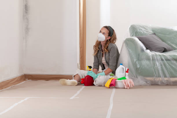 Reliable Attic Mold Remediation contractor in Temperanceville, VA by 24 Hour Mold Removal